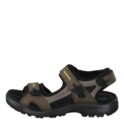 ECCO Offroad M Tarmac/moon Rock