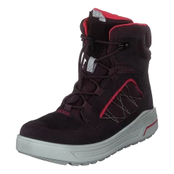 Ecco Urban Snowboarder Fig/teaberry -ECCO Schoenenhemel 60464 29