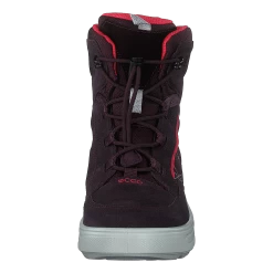Ecco Urban Snowboarder Fig/teaberry -ECCO Schoenenhemel 60464 29 437b8d9e d30b 4ce1 917f e3987b8e7f9c