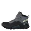 Ecco Biom 2.1 X Mountain W Black/steel