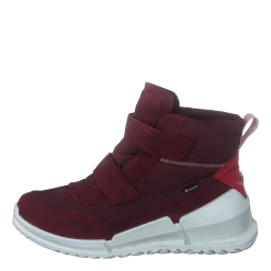 Ecco Biom K Morillo/morillo/chili Red