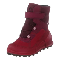 Ecco Biom K2 Multicolor Chili Red Morillo -ECCO Schoenenhemel 60725 51 b402fbf1 4b2d 4cc0 a4d1 6a4807571808